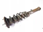 Front shock absorber with coil spring