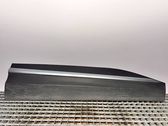 Front door trim (molding)