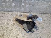 Roof seat belt