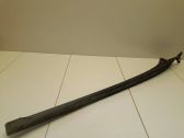 Windshield trim