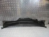 Windshield trim