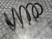 Front coil spring