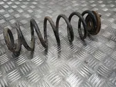 Rear coil spring