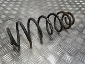 Rear coil spring