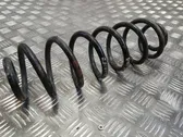 Rear coil spring