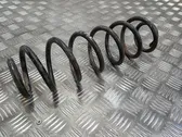 Rear coil spring