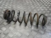 Rear coil spring