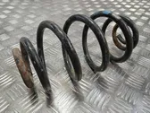 Rear coil spring