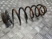 Rear coil spring