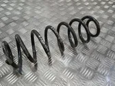 Rear coil spring