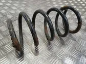 Rear coil spring