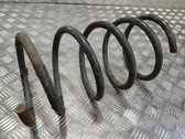 Front coil spring