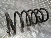 Rear coil spring