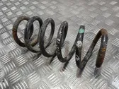 Rear coil spring