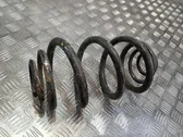 Rear coil spring