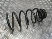 Rear coil spring