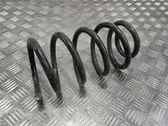 Rear coil spring