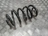 Rear coil spring