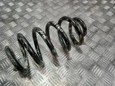 Rear coil spring