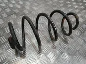 Front coil spring