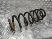 Rear coil spring