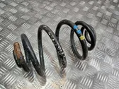 Rear coil spring