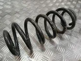 Front coil spring