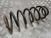 Rear coil spring