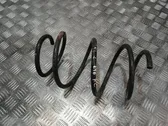 Front coil spring