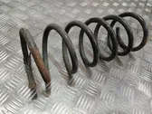 Rear coil spring