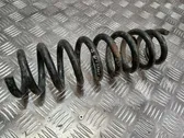 Rear coil spring