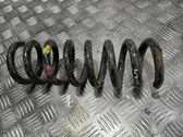 Rear coil spring