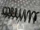 Rear coil spring