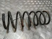 Rear coil spring