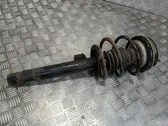 Front shock absorber with coil spring