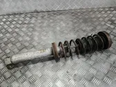 Rear shock absorber/damper