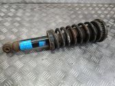 Rear shock absorber with coil spring