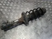 Front shock absorber/damper