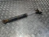 Rear shock absorber/damper