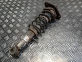 Rear shock absorber with coil spring