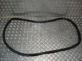 Front door rubber seal