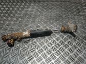 Rear shock absorber/damper