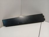 Rear door glass trim molding