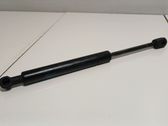 Front bonnet/hood damper/strut