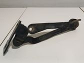 Tailgate/trunk/boot hinge