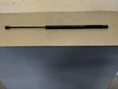 Tailgate/trunk strut/damper