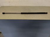 Tailgate/trunk strut/damper