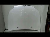 Engine bonnet/hood