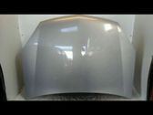 Engine bonnet/hood