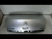 Tailgate/trunk/boot lid